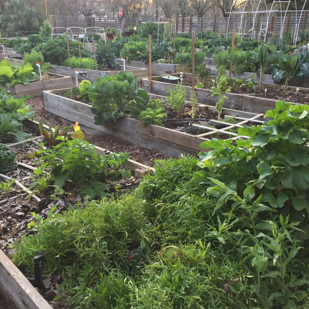 Community Garden - Riverside Avondale Preservation