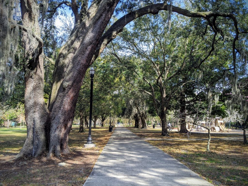 wide walkway leading to tree covered park