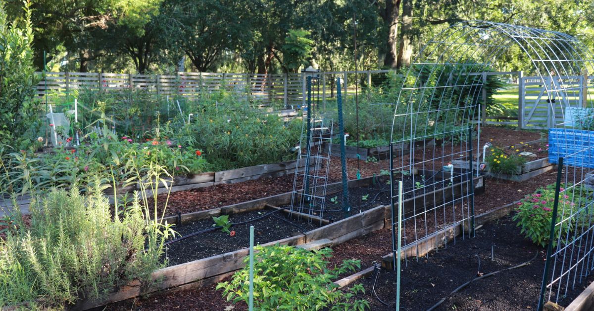 Riverside Avondale Community Garden